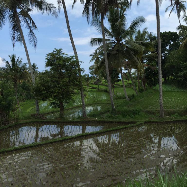 Bukit Asri Lodge Seraya Eksteriør billede